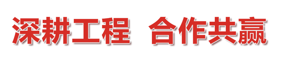 新澳门资料网
